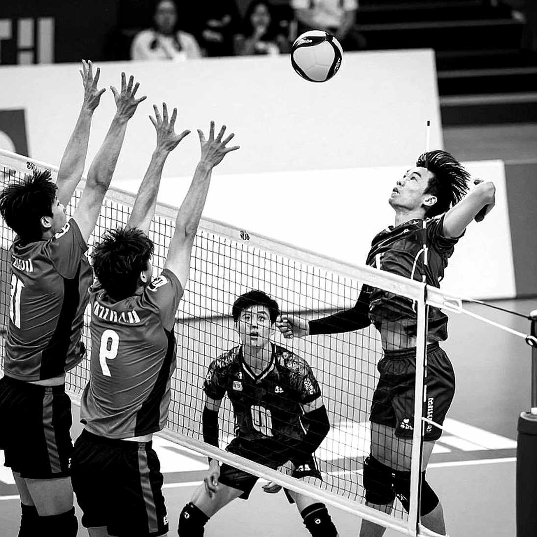 Bóng chuyền Việt Nam: Khi dữ liệu không nằm trên bảng điểm