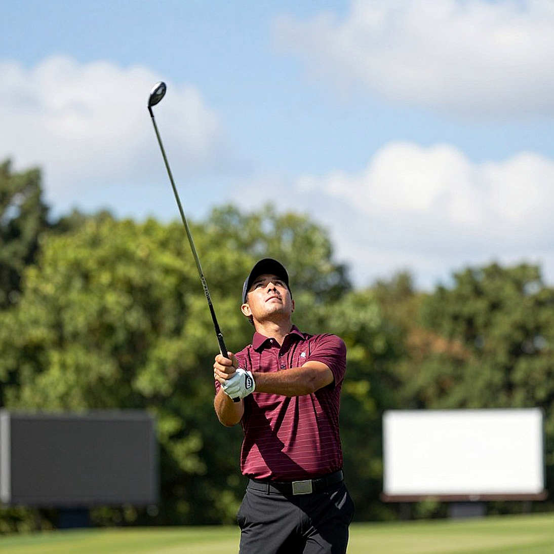 Găng tay golf Asher: Câu chuyện da Cabretta và việc đừng tin lời quảng cáo trước khi thử